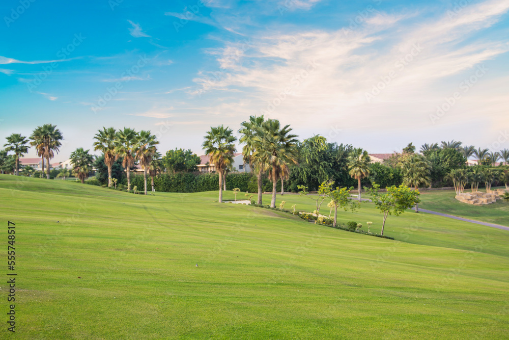 Beautiful view of the green lawn in Sheikh Zayed, Egypt Beautiful view of the green lawn in Sheikh Zayed, Egypt