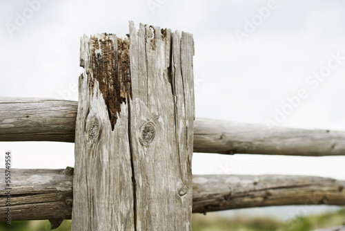 Close-up of Fence Post