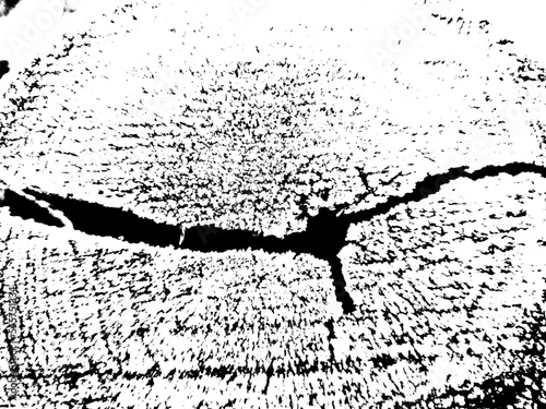 Black grunge texture, cut of a tree. Vector abstract grunge overlay texture, grunge stencil. An overlay of a messy coming grunge texture with coarse and fine grains. Design element