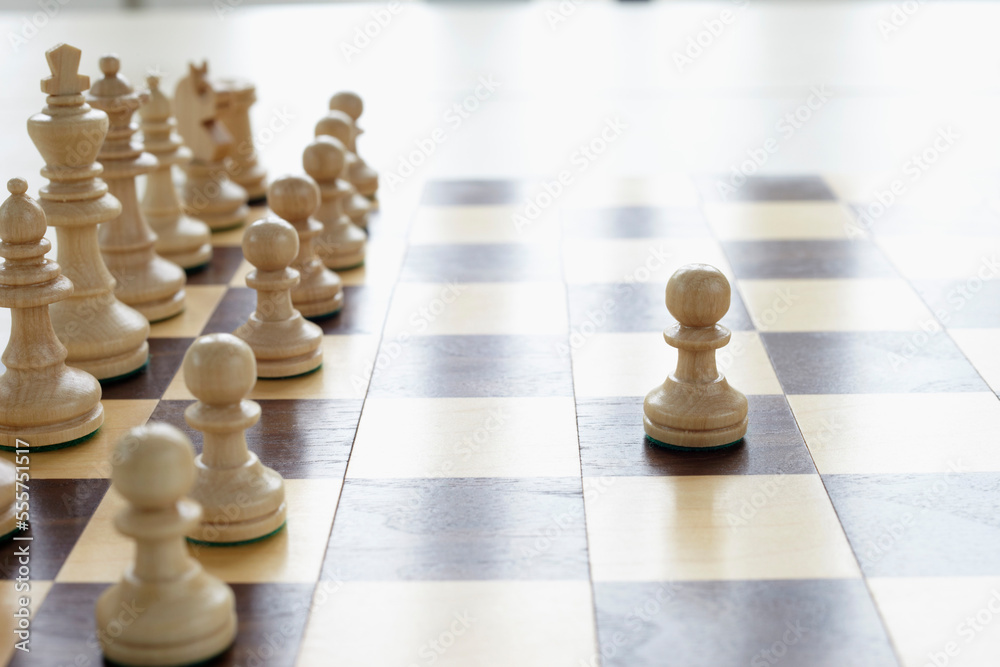 Chessboard and Chess Pieces Chessboard and Chess Pieces