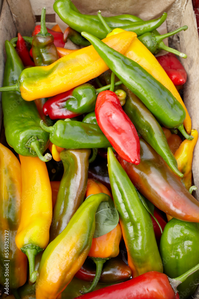 Variety of Hot Peppers at Market, Biarritz, Pyrenees-Atlantiques, Aquitaine, France Variety of Hot Peppers at Market, Biarritz, Pyrenees-Atlantiques, Aquitaine, France