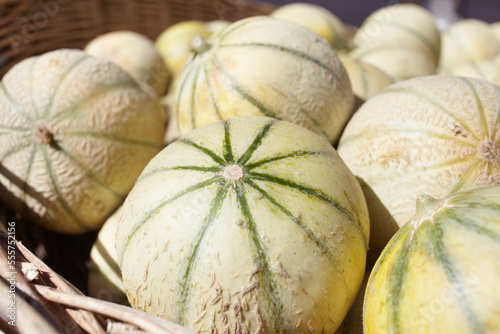 Melons For Sale at Market, Montalivet, Vendays-Montalivet, Gironde, Aquitaine, France photo