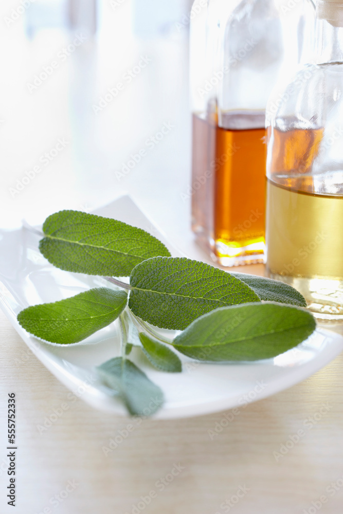 Herbs with bottle of aromatic oil for aromatherapy Herbs with bottle of aromatic oil for aromatherapy