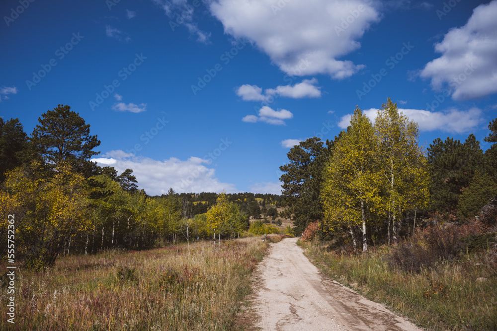 Rocky mountain rural dirt road with fall foliage - bright blue sky