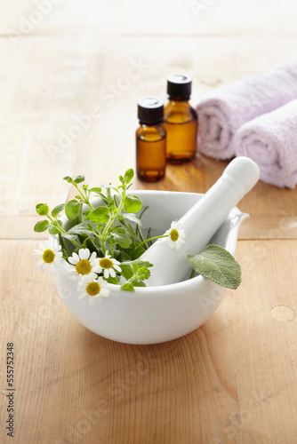Still life of mortar and pestle with fresh herbs, chamomile, rolled towel, bottles of essential oil for aromatherapy