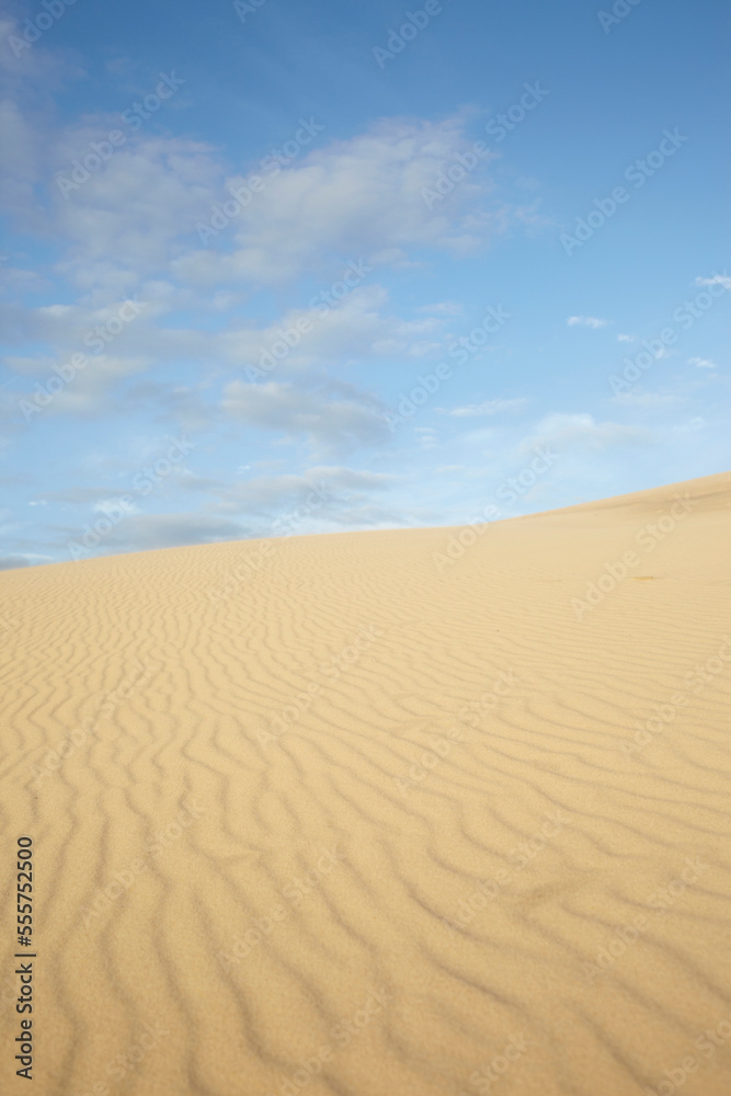 Ripples in Sand Dune, Dune du Pilat, Arcachon, France Ripples in Sand Dune, Dune du Pilat, Arcachon, France