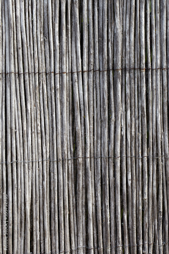 Close-up of Fence made from Thin Wooden Sticks, Royan, Charente-Maritime, France Close-up of Fence made from Thin Wooden Sticks, Royan, Charente-Maritime, France