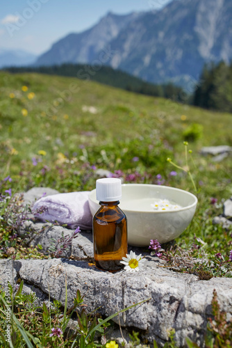 Homeopathic Medicine and Chamomile, Strobl, Salzburger Land, Austria photo