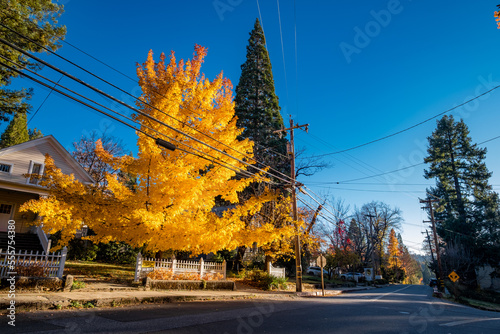 autumn in Nevada City CA 