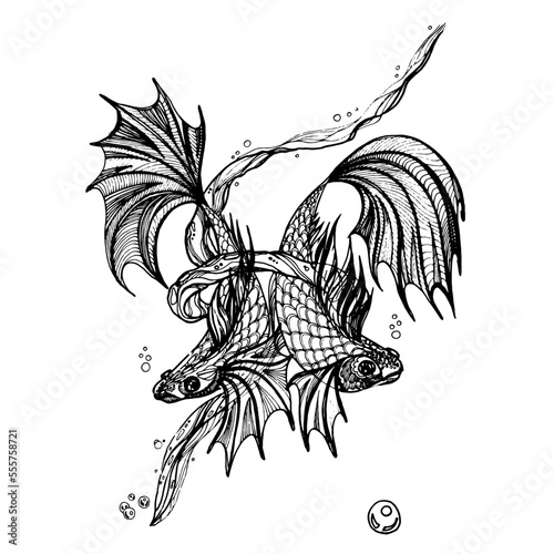 Two fish, line art. Black and white vector illustration for tattoo and coloring book. 