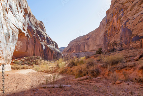 Horseshoe Canyon-Canyonlands National Park