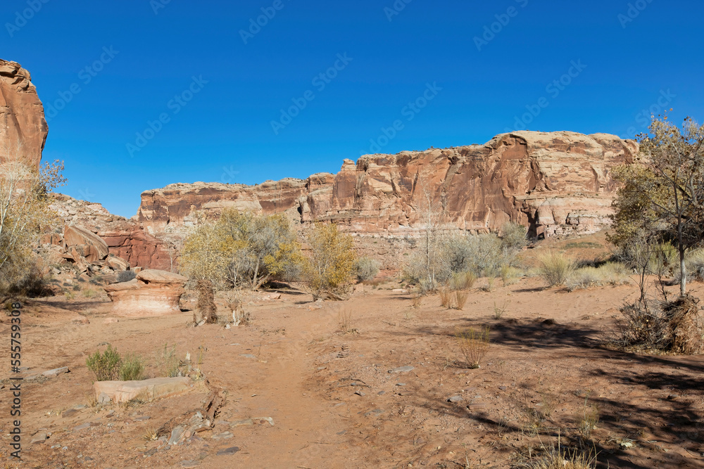 Fototapeta premium Horseshoe Canyon-Canyonlands National Park