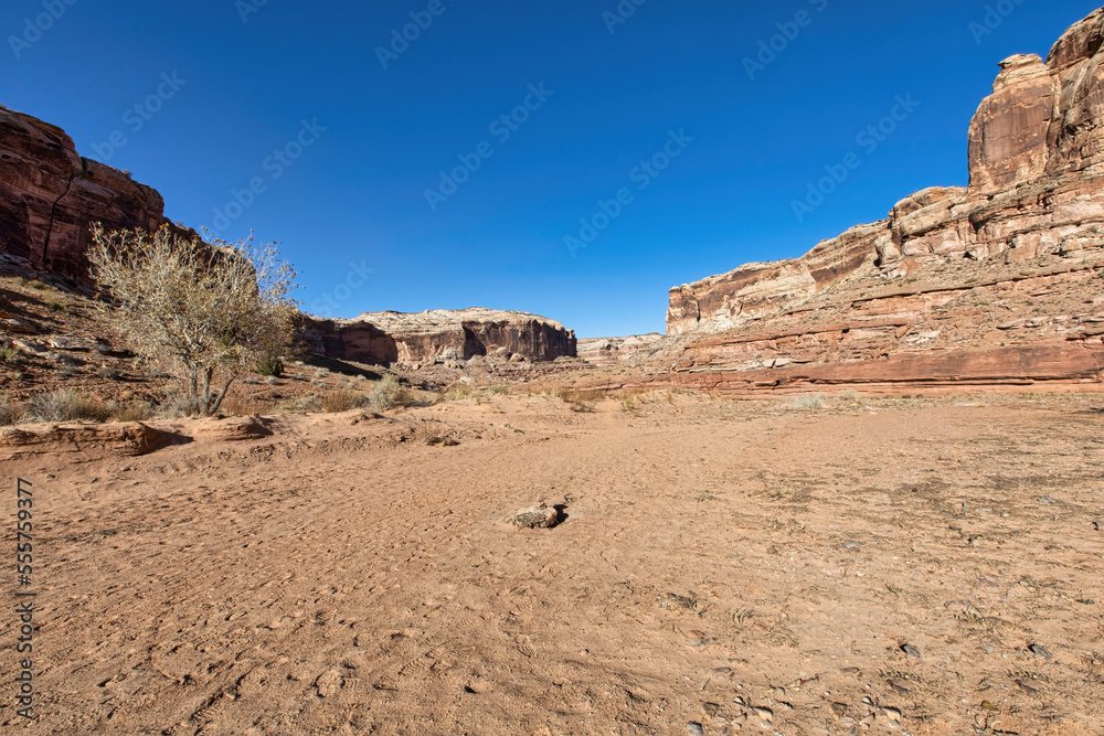 Horseshoe Canyon-Canyonlands National Park Horseshoe Canyon-Canyonlands National Park