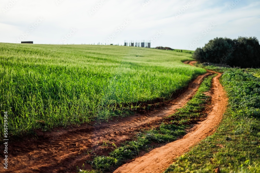 landscape with a road in the field spring landscape with a road in the field spring