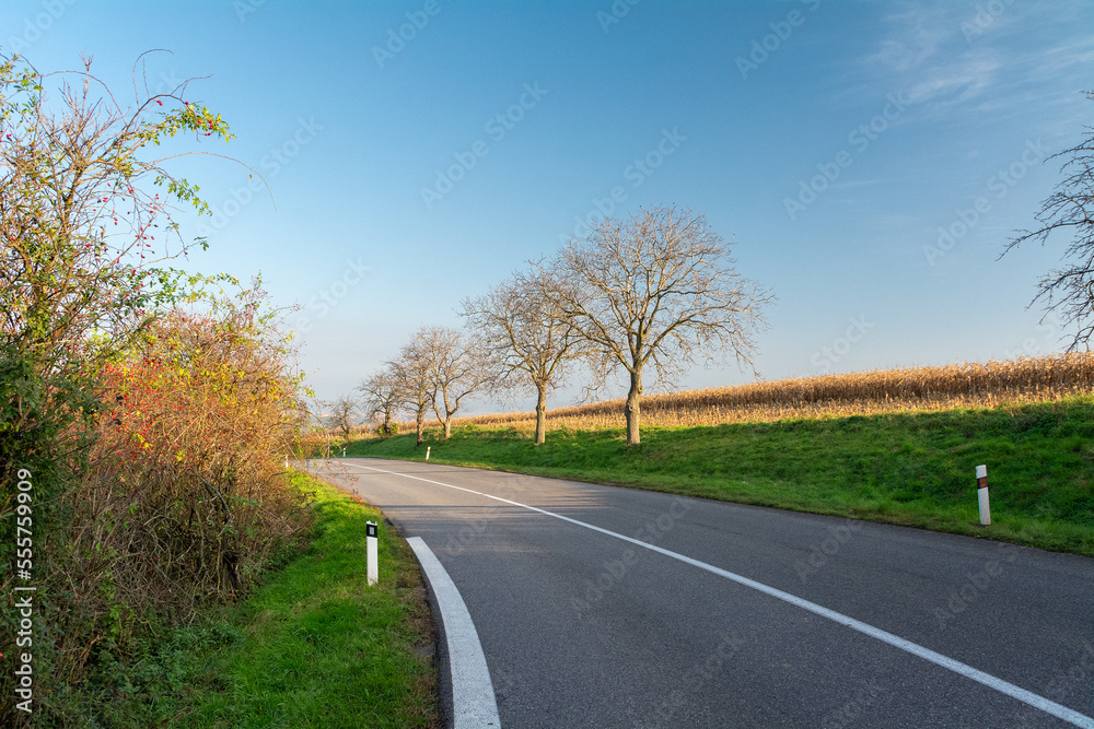 Empty road in the countryside. dry asphalt. Good weather. Empty road in the countryside. dry asphalt. Good weather.