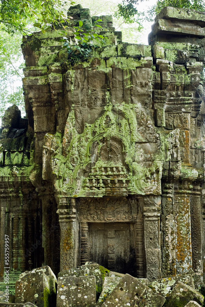 Ta Prohm Temple, Angkor, Cambodia Ta Prohm Temple, Angkor, Cambodia
