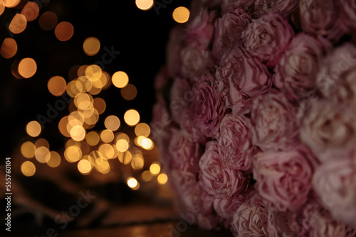 pink roses and light 
