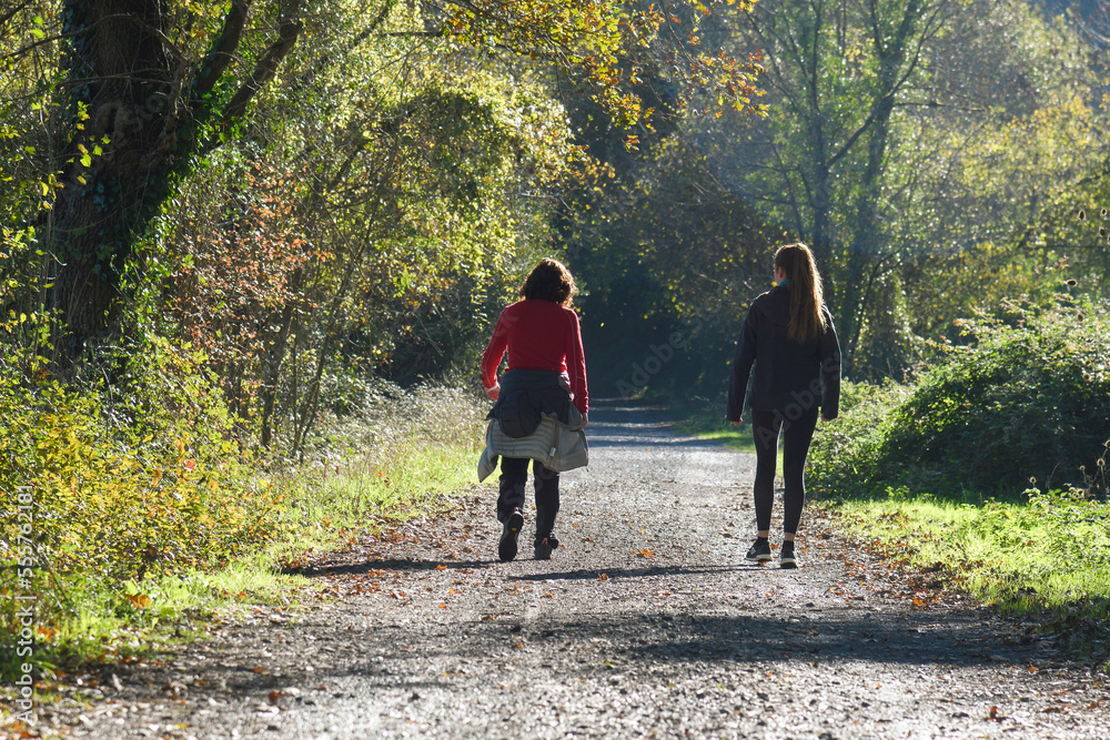 People hiking against the light through the greenways of Sopuerta