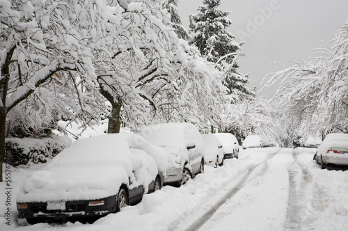 Street Scene, Point Grey, Vancouver, British Columbia, Canada