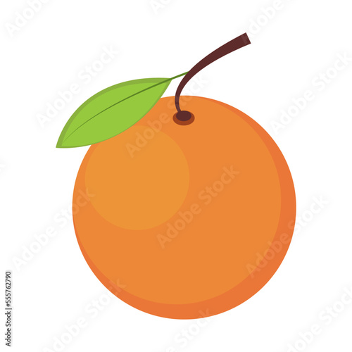 orange fruit icon
