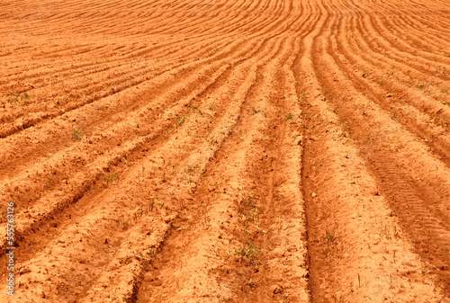 Plowed Field near Norboro, Prince Edward Island, Canada