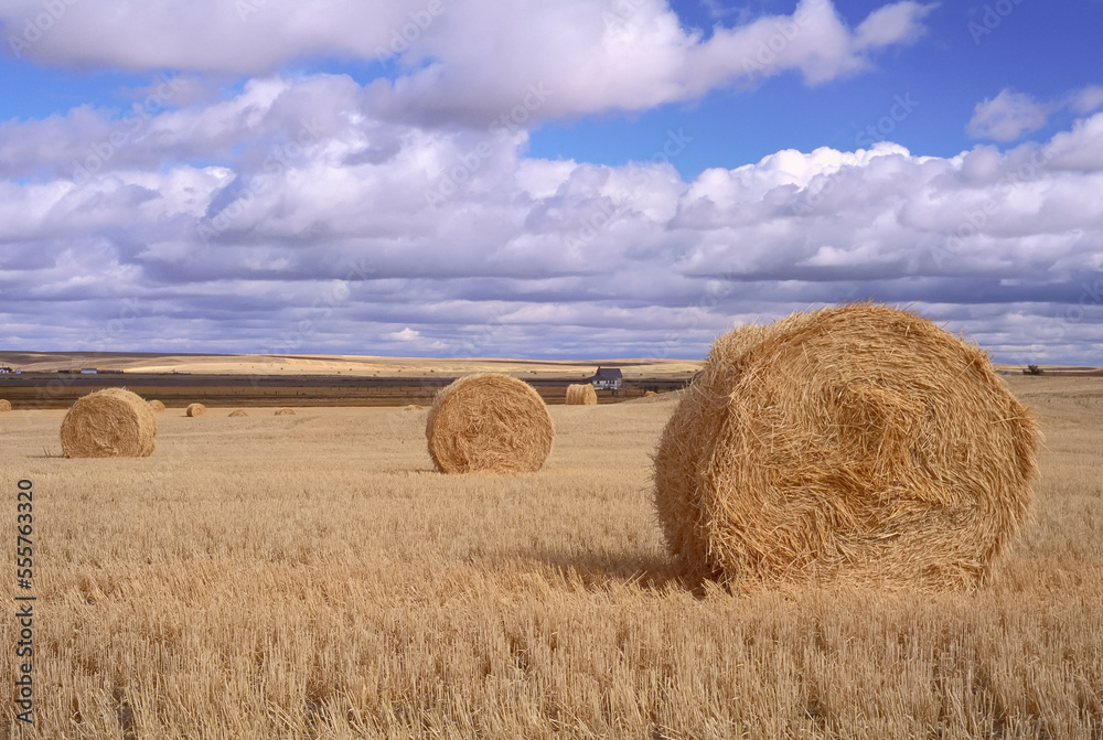 Fields, Round Bales near Claydon, Saskatchewan, Canada Fields, Round Bales near Claydon, Saskatchewan, Canada
