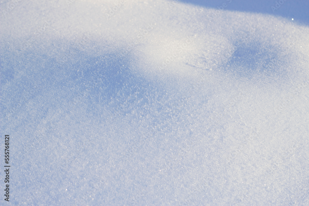 wavy clean snow surface in cold winter forest