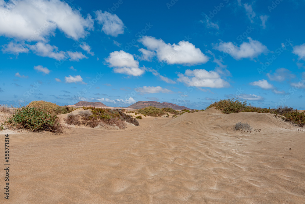 sand dunes in the desert