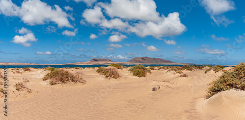 sand dunes on the beach