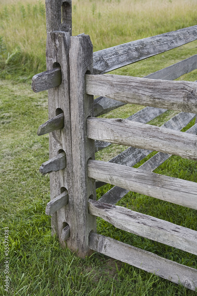Close-up of Fence Close-up of Fence