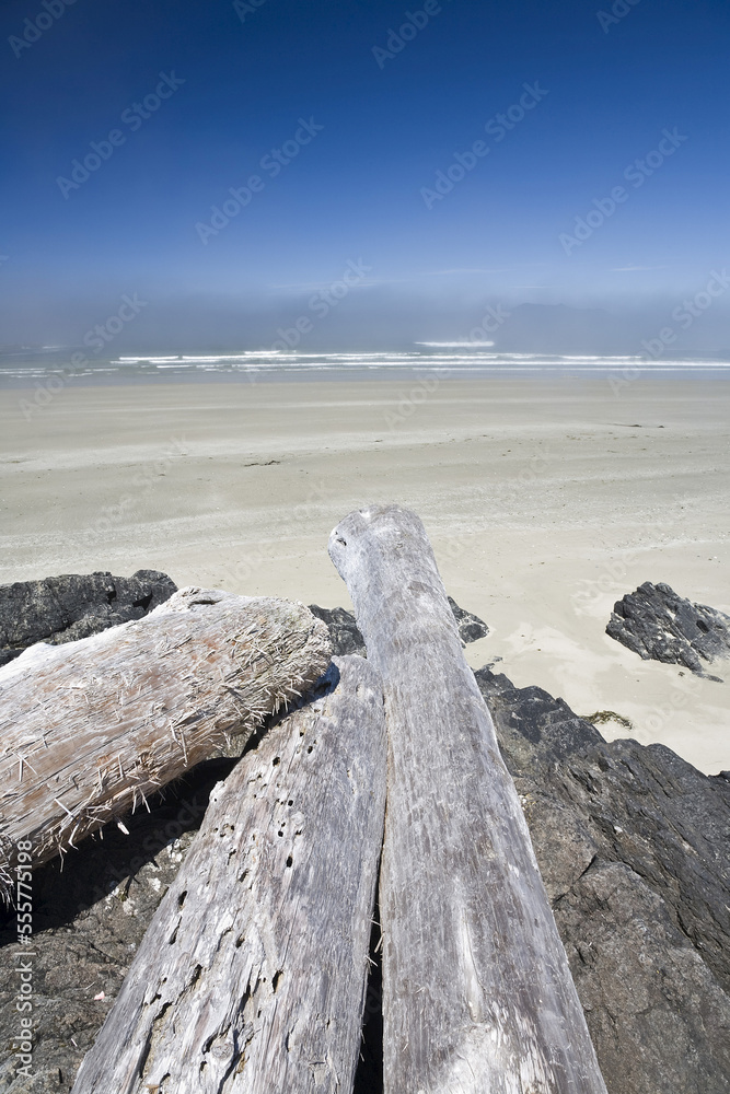 Driftwood on Beach, Long Beach, Pacific Rim National Park, Vancouver Island, British Columbia, Canada Driftwood on Beach, Long Beach, Pacific Rim National Park, Vancouver Island, British Columbia, Canada