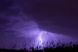 Violet thunderstorm in the evening sky