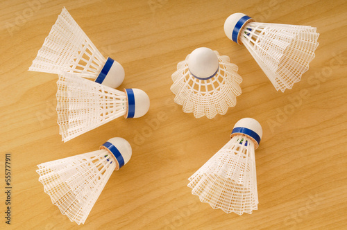 Badminton Birdies