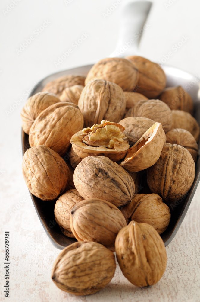 Close-up of Scoop full of Walnuts with one Cracked Open Close-up of Scoop full of Walnuts with one Cracked Open