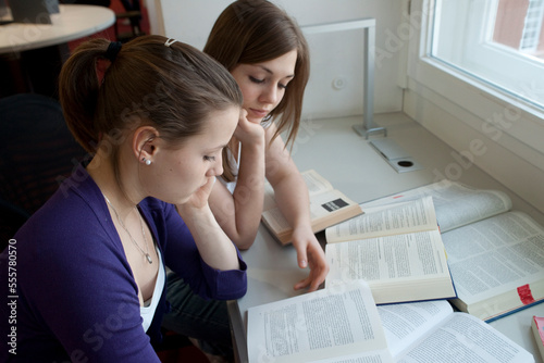 Two Girls Studying photo