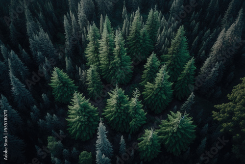 an aerial picture of the mountain s verdant coniferous forest. Generative AI