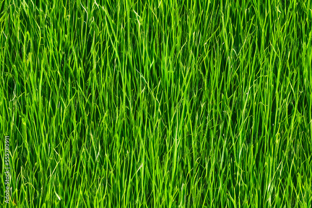 Obraz premium green grass background created using Generative AI