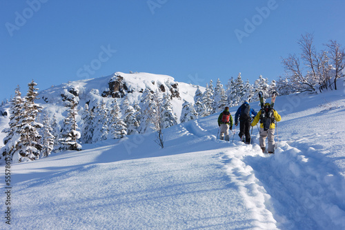 Backcountry Skiers Ascending Hill, Furano, Hokkaido, Japan photo