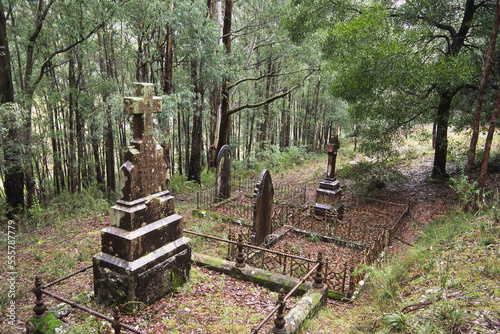 Old Graves, Gaffney's Creek Cemetery,Victoria, Australia photo