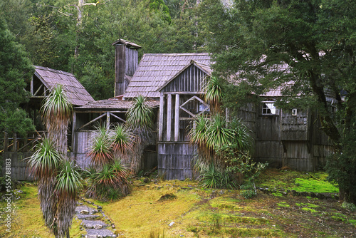 Waldheim Chalet and Rainforest, Cradle Mountain Lake St Clair National Park, Tasmania photo