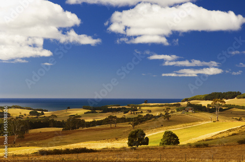 Bass Straight, Burnie, Tasmania, Australia photo