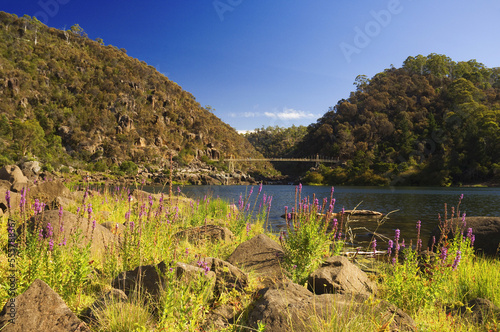 Cataract Gorge, Launceston, Tasmania, Australia photo