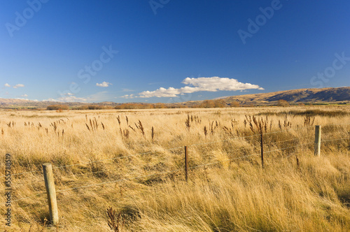 Fence and Field, Ranfurly, Manuherikia Valley, Otago, South Island, New Zealand photo