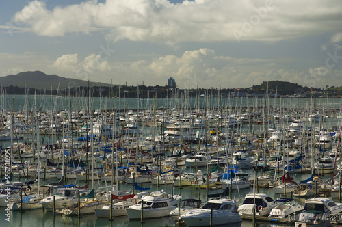 Westhaven Marina, Auckland, North Island, New Zealand photo