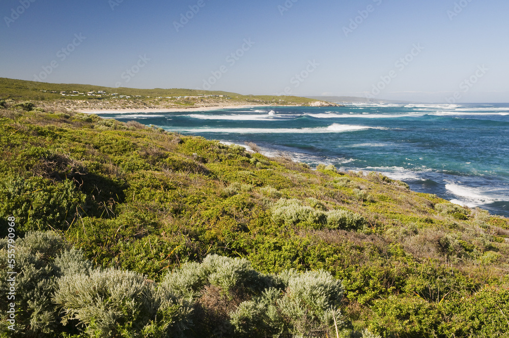 Shore, Prevelly Park, Margaret River, Western Australia, Australia Shore, Prevelly Park, Margaret River, Western Australia, Australia