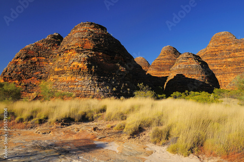 The Domes, Bungle Bungle Range, Purnululu National Park, Kimberley, Western Australia, Australia photo