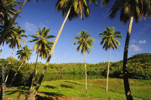 Island Interior, Atiu, Cook Islands photo