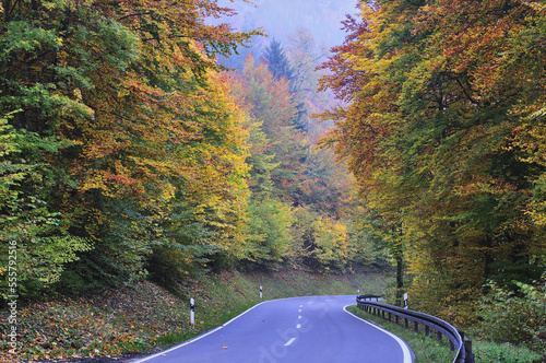 Road through Forest, Danube Valley, Baden-Wurttemberg, Germany photo