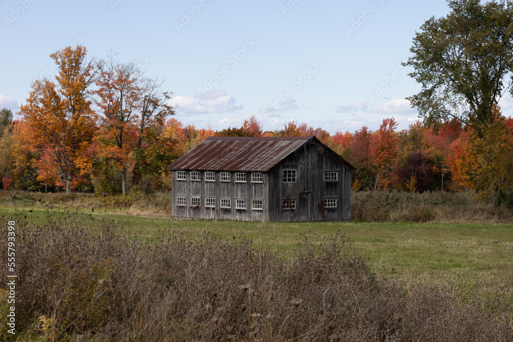 Old Barn in a field Old Barn in a field