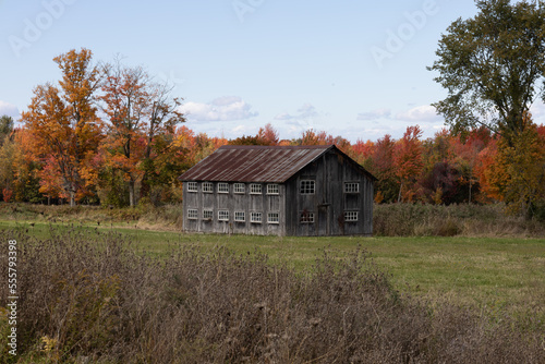 Old Barn in a field